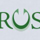 Logo Signet RS Draft 2